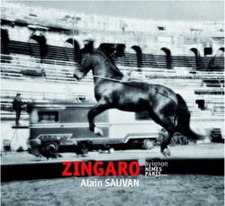 Zingaro - Avignon, Nîmes, Paris...