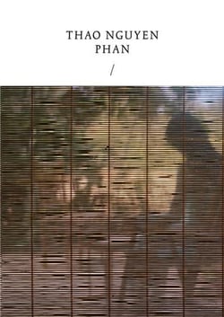 Thao Nguyen Phan : Réincarnations of shadows