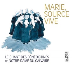 Marie source vive