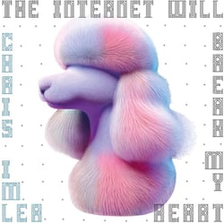The Internet Will Break My Heart