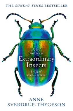 EXTRAORDINARY INSECTS