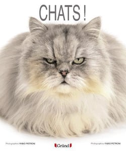 Chats
