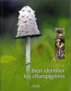 Bien identifier les champignons