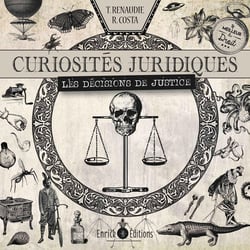 Curiosités juridiques - les décisions de justice