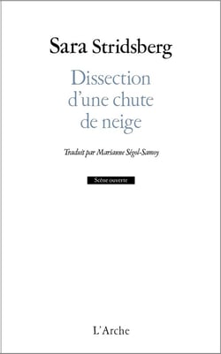 Dissection d'une chute de neige