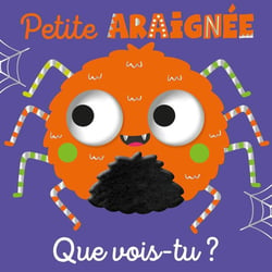 Que vois-tu, Petite Araignee ?
