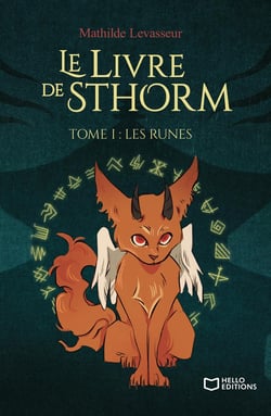 Le Livre de Sthorm Tome 1 : Les Runes