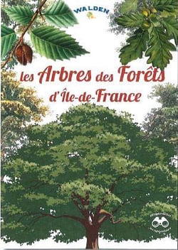 Les arbres des forêts d'ile-de-france