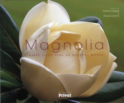 Magnolia - l'arbre fleur venu du nouveau monde