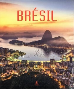 Brésil (édition 2020)