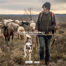 Terres pastorales - diversité et valeurs des milieux ouverts méditerranéens