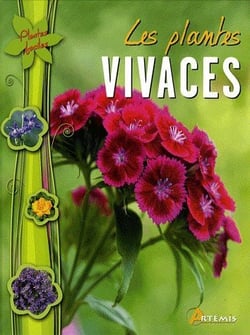 Les plantes vivaces