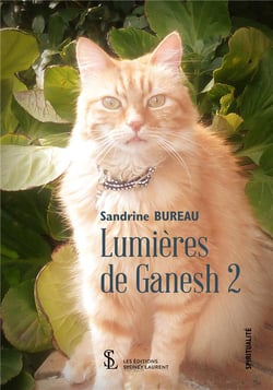 Lumières de ganesh t.2