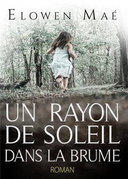 Un rayon de soleil dans la brume