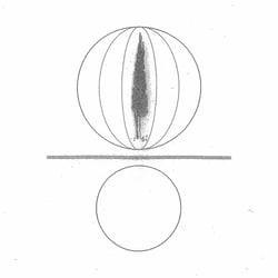 Spheres Collapser