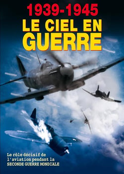1939-1945 : Le ciel en guerre