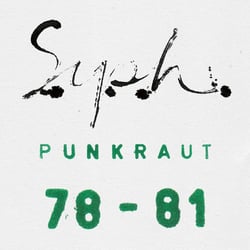 Punkraut 1978 1981