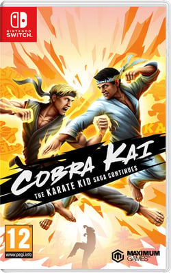 Cobra Kai : The Karate Kid Saga Continues