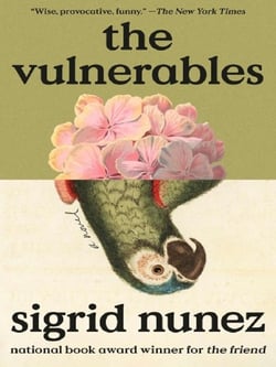 The Vulnerables : A Novel
