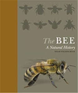 The bee a natural history