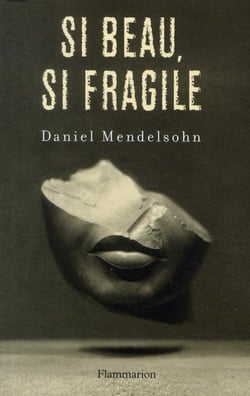 Si beau, si fragile