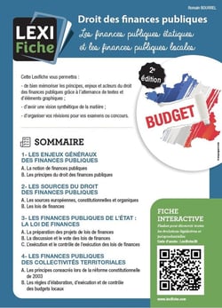 Droit des finances publiques : les finances publiques étatiques et les finances publiques (2e édition)