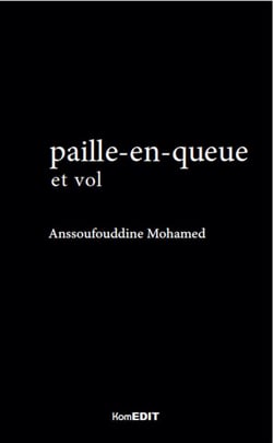 Paille-en-queue (2e édition)