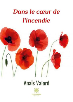 Dans le coeur de l'incendie