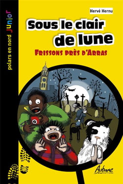 Sous le clair de lune : frissons près d'Arras