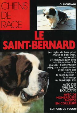 Le saint bernard