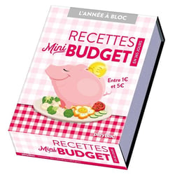 L'année à bloc : recettes mini budget en 365 jours