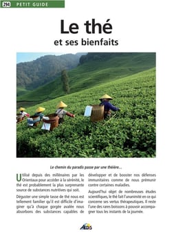 Le thé et ses bienfaits