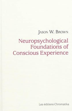 Neuropsychological foundations of conscious experience