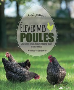 Élever des poules !