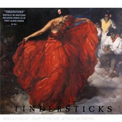 Tindersticks (premier album)