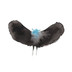 HaywardxDälek