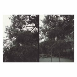Just Like Any Other Day: Background Music For Your Mundane Activities