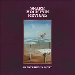 Everything in Sight