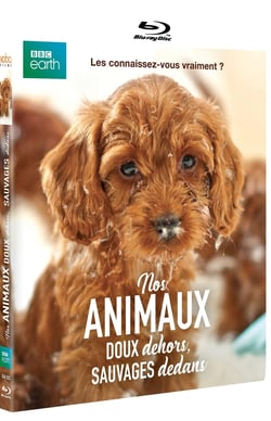 Nos animaux : Doux dehors, sauvages dedans
