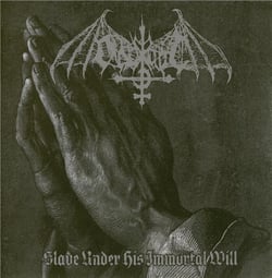 Slave under his immortal will