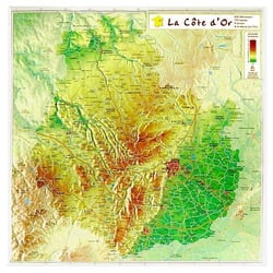 Cote d or 31 x 31 cm