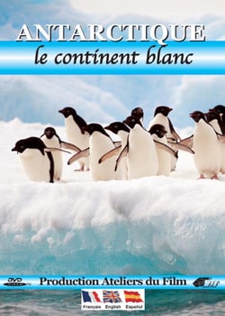 Antartique : le continent blanc