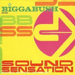 Biggabush Sound Sensation