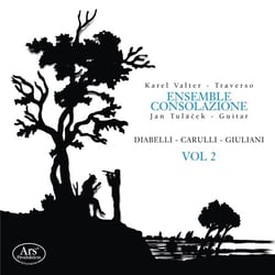 Oeuvres pour flûte et guitare vol.2 / Ensemble Consolazione