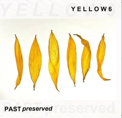 Past Preserved - édition colorée