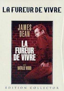 La Fureur de vivre