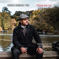 Playing who I am / Andrea Domenici Trio