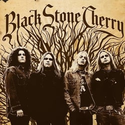 Black Stone Cherry - édition limitée colorée