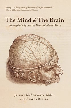 MIND AND THE BRAIN