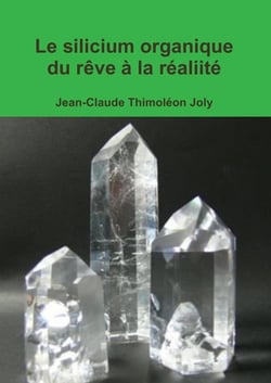 Le silicium organique du rêve à la réaliité